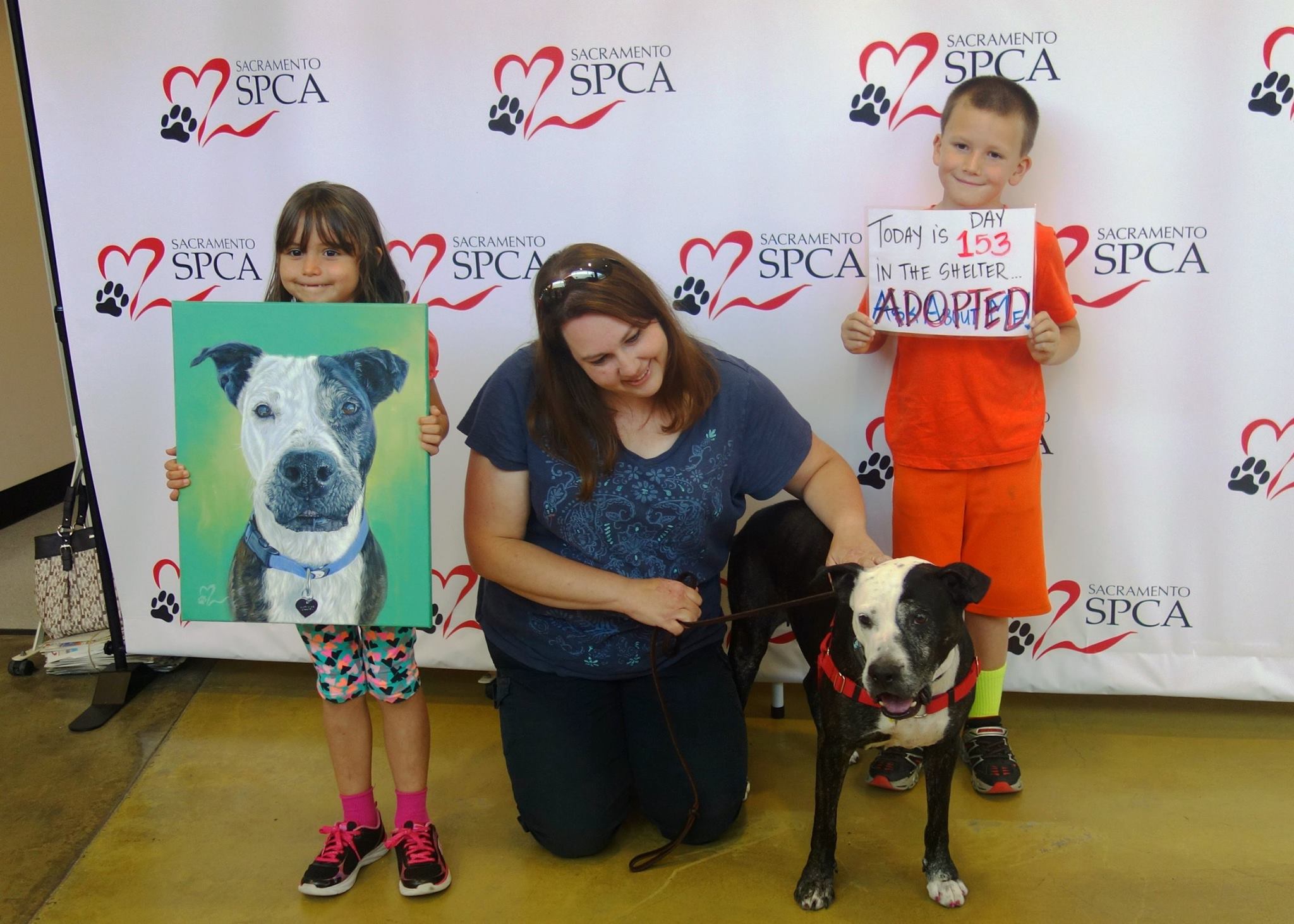 Sacramento SPCA Reviews and Ratings Sacramento, CA Donate