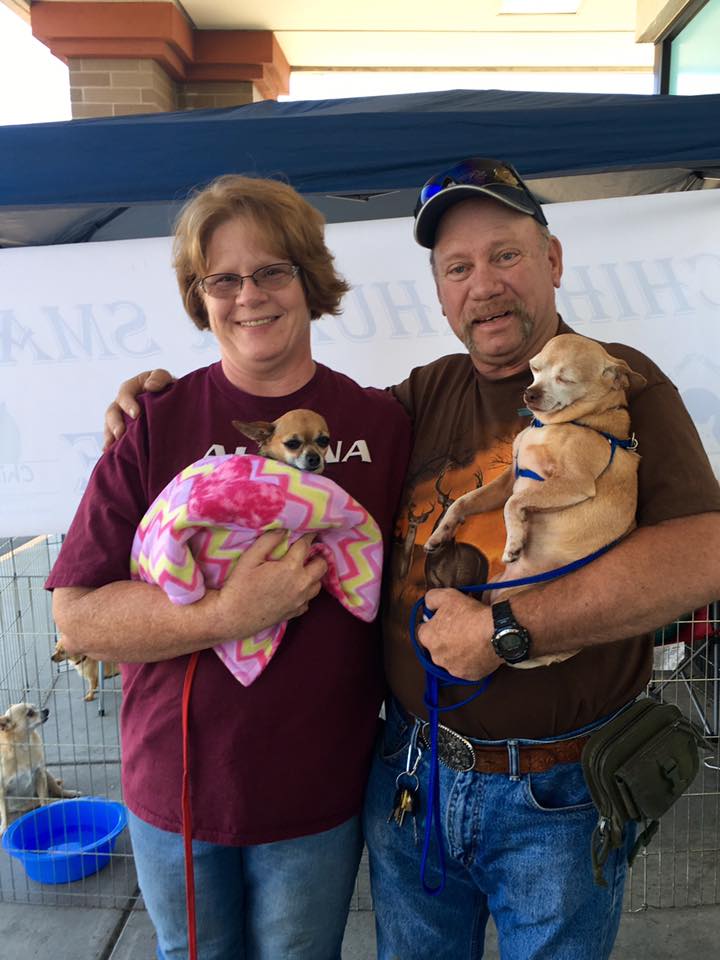 Chihuahua & Small Dog Rescue Inc Reviews and Ratings Colorado Springs