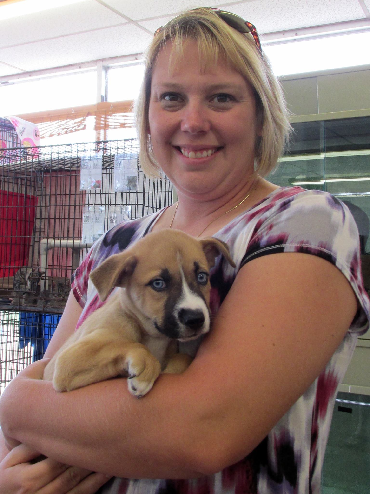 Help the animals richmond indiana facebook