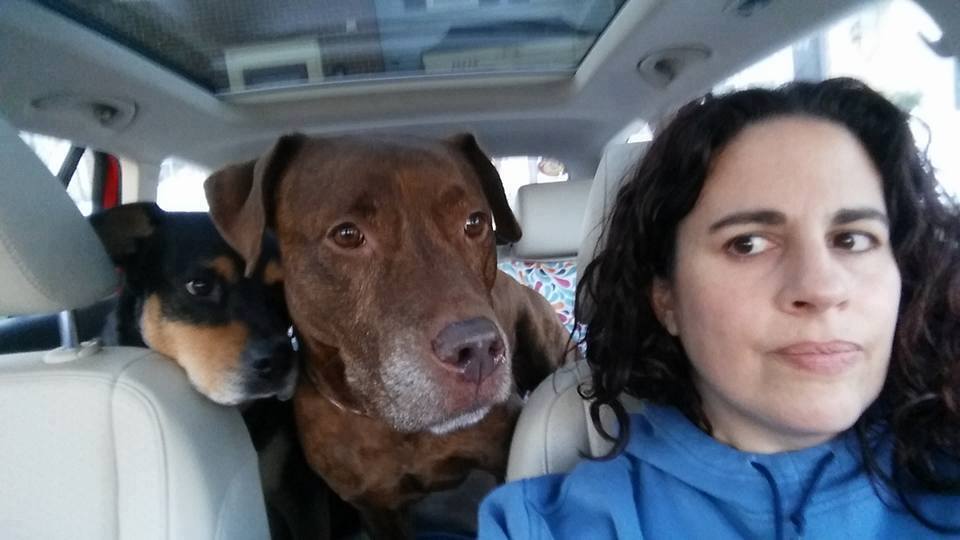 Mutts Matter Rescue Reviews and Ratings Rockville, MD Donate