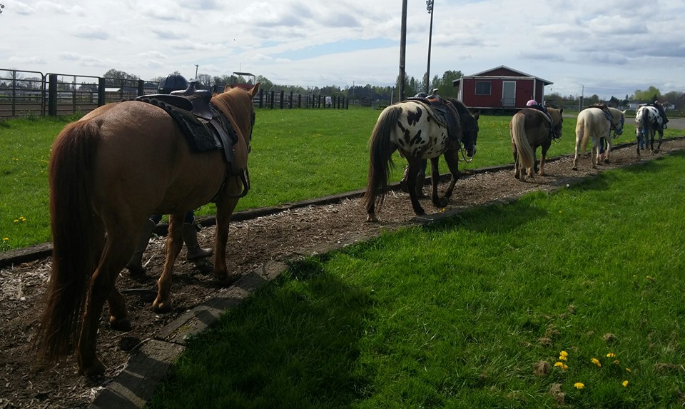 Silver Buckle Ranch (aka Silver Buckle Youth Equestrian Center) Reviews