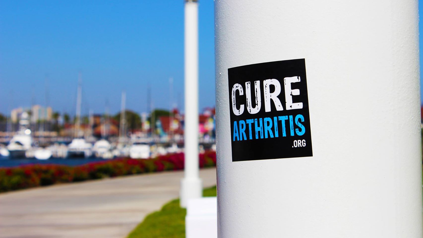 Arthritis National Research Foundation Reviews and Ratings Irvine, CA