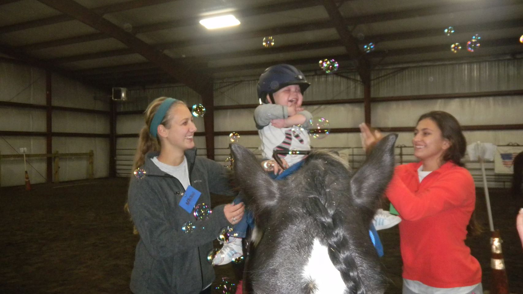 EQUINEASSISTED THERAPY INC Reviews and Ratings Wildwood, MO Donate