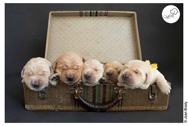 Search Box Image