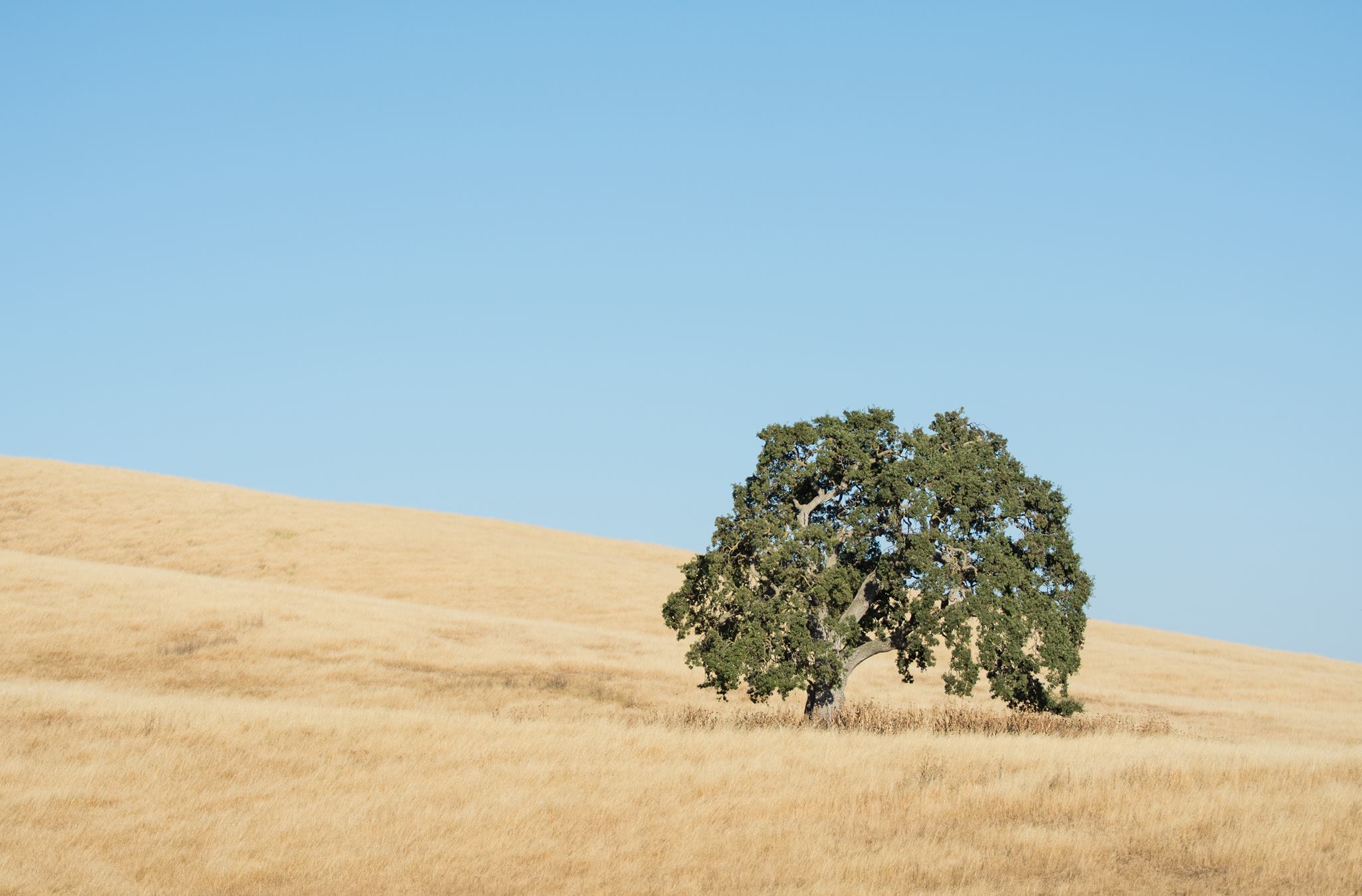 Peninsula Open Space Trust Map Peninsula Open Space Trust Reviews And Ratings | Palo Alto, Ca | Donate,  Volunteer, Review | Greatnonprofits