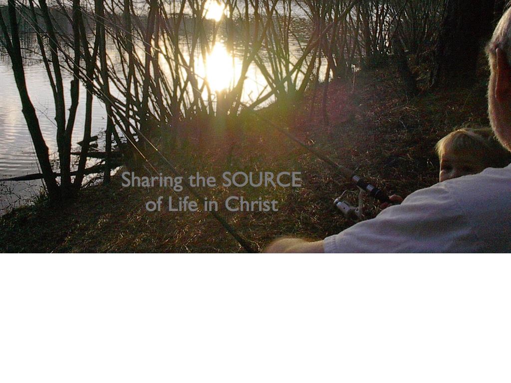 Search Box Image