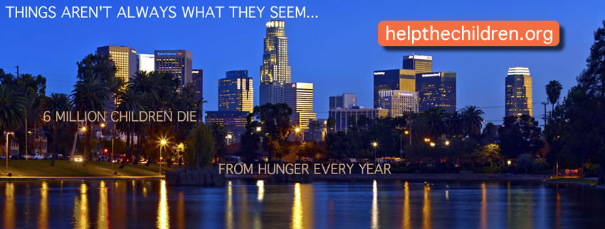Search Box Image