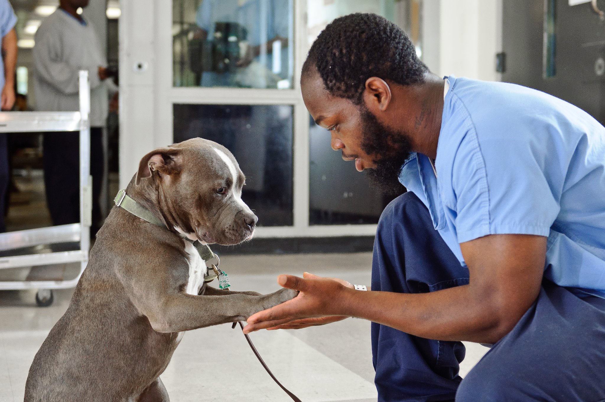 New Leash on Life USA Reviews and Ratings Narberth, PA Donate