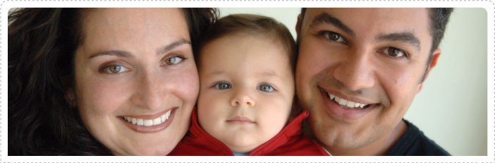 Search Box Image