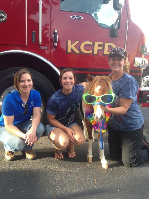 Horses & Heroes Inc Reviews and Ratings SHAWNEE, KS Donate