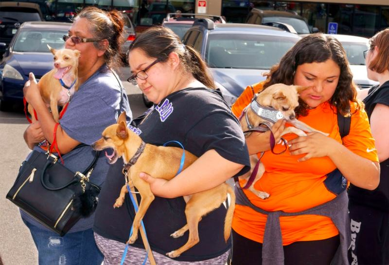 Street Dog Coalition Reviews and Ratings Fort Collins, CO Donate