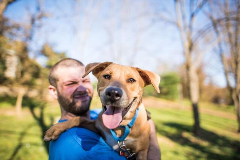 Main line animal rescue reviews and ratings phoenixville pa donate