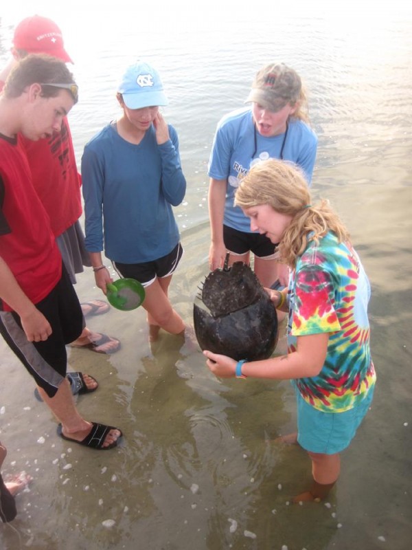 Green River Preserve Reviews and Ratings Cedar Mountain, NC Donate