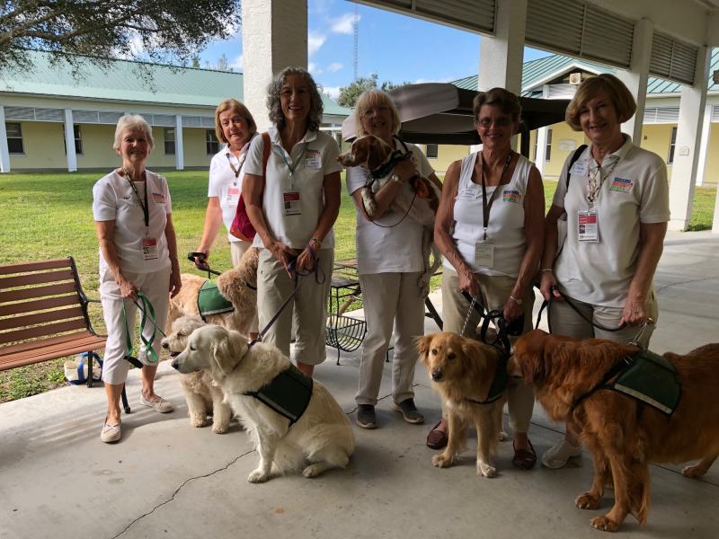Suncoast Humane Society Reviews and Ratings Englewood, FL Donate