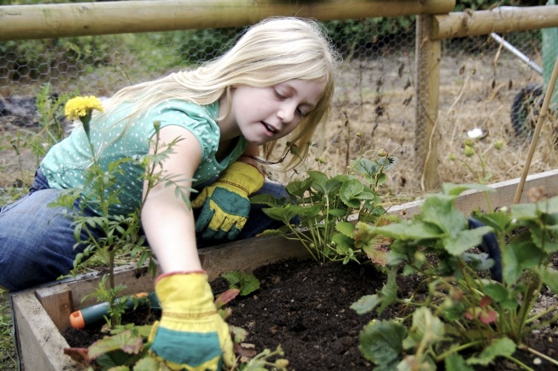 Eden Village Camp Reviews and Ratings Putnam Valley, NY Donate