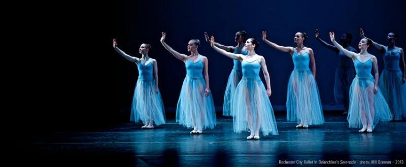 Search Box Image