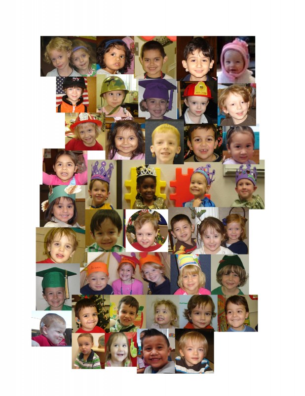 Search Box Image