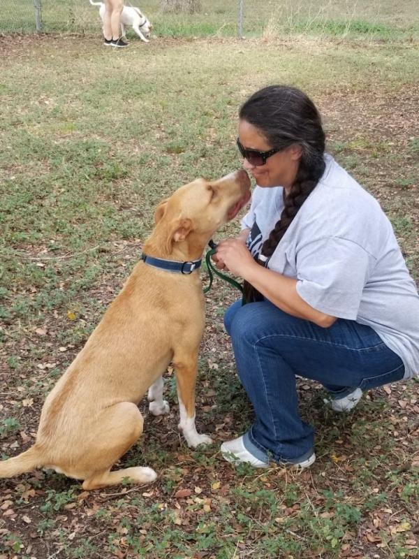Search Box Image