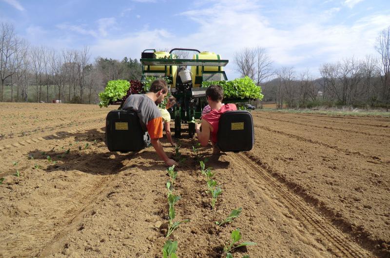 Southern Appalachian Highlands Conservancy Reviews and