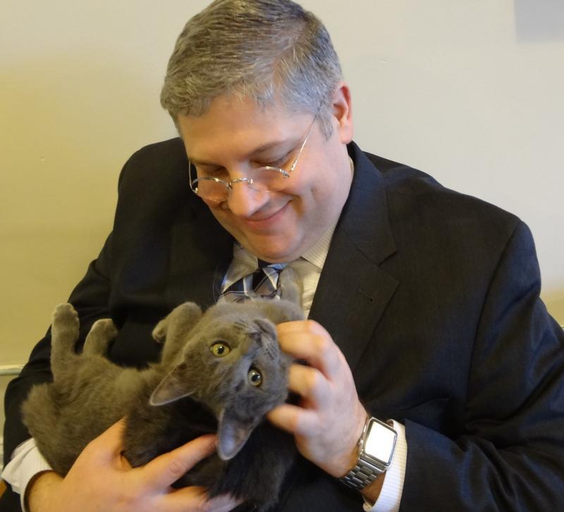 Tenth Life Cat Rescue Reviews and Ratings Saint Louis, MO Donate