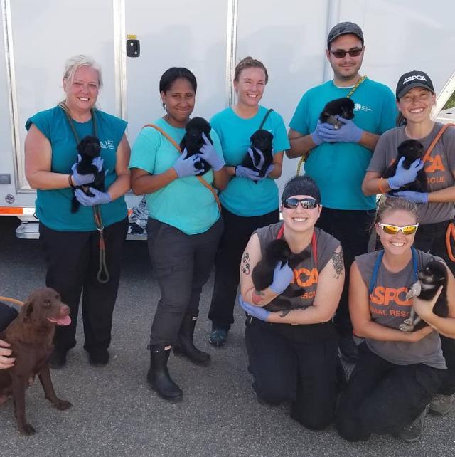 Charleston Animal Society Reviews And Ratings North Charleston Sc Donate Volunteer Review Greatnonprofits