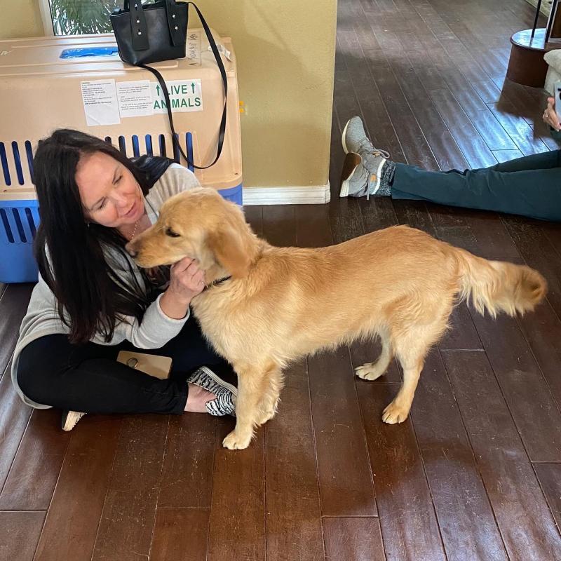 Goldens Without Borders Inc Reviews and Ratings Las Vegas, NV