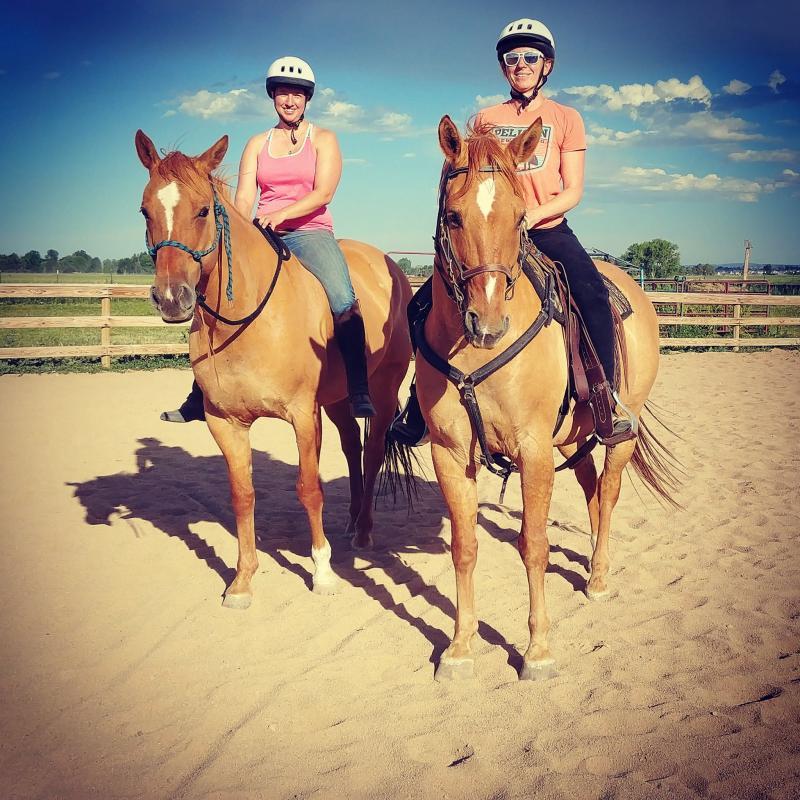 Colorado Horse Rescue Reviews and Ratings Longmont, CO Donate