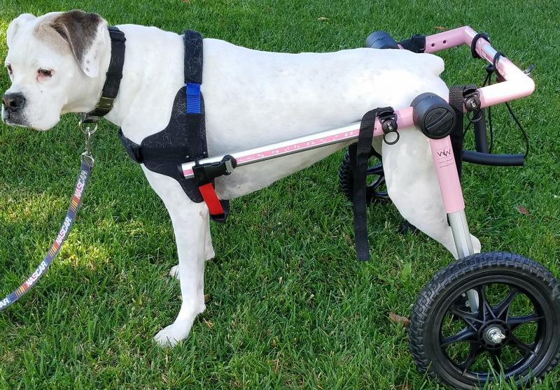 Gunnars Wheels Foundation Reviews and Ratings Strum, WI Donate