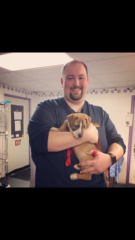 2nd chance animal rescue of richmond inc