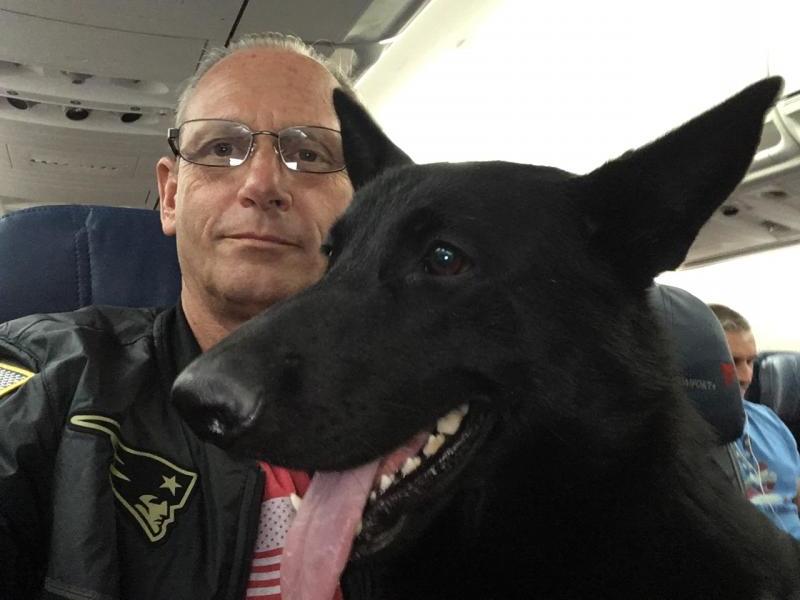 Guardian Angels Medical Service Dogs Inc Reviews and Ratings