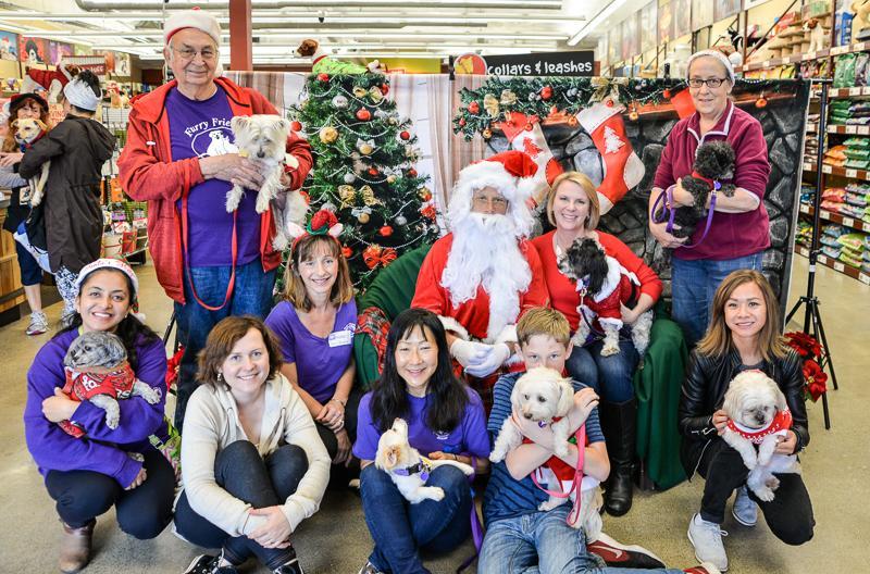 FURRY FRIENDS RESCUE Reviews and Ratings Fremont, CA Donate