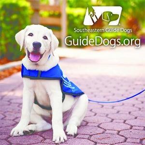 southern guide dogs