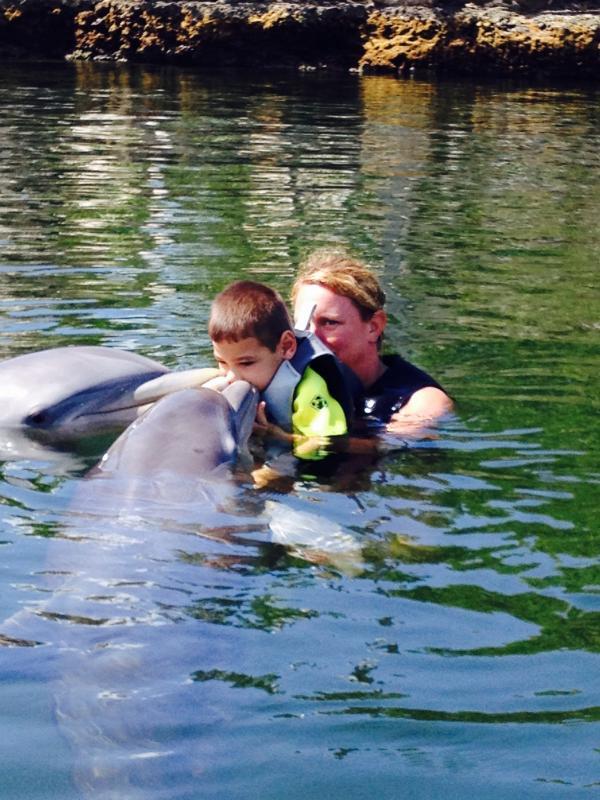 Island Dolphin Care Reviews and Ratings Key Largo, FL