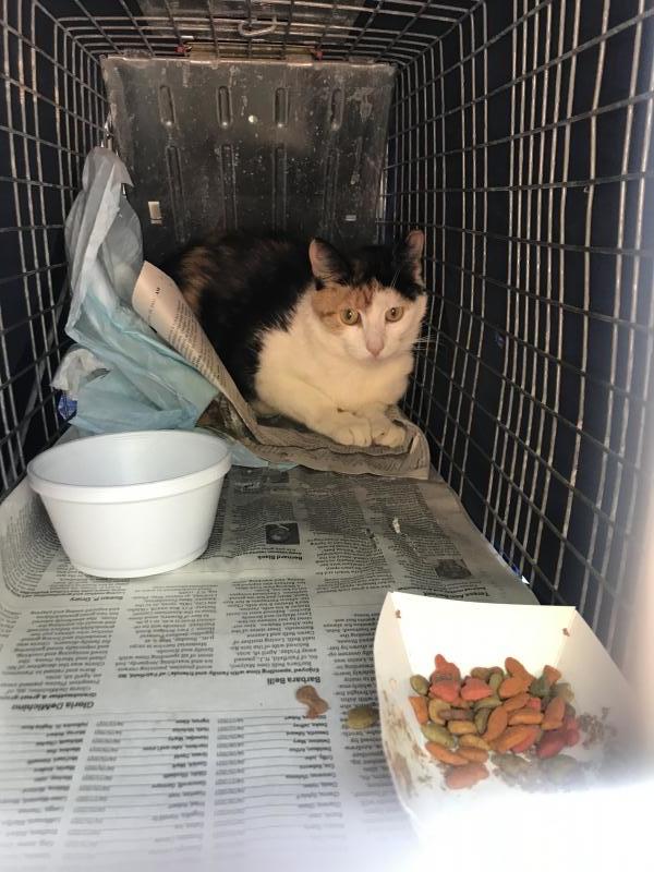 PEOPLE FOR ANIMALS INC Reviews and Ratings Hillside, NJ