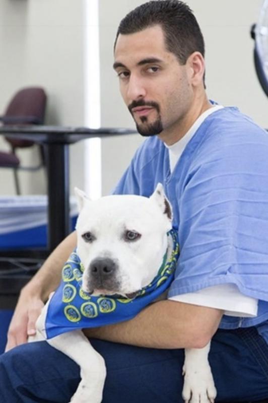 Marley's Mutts Dog Rescue Reviews and Ratings Tehachapi, CA Donate