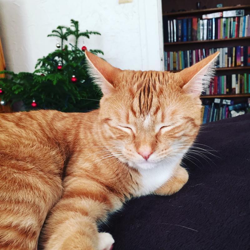 Second Chance Animal Services Inc FKA Second Chance Animal Shelter Inc