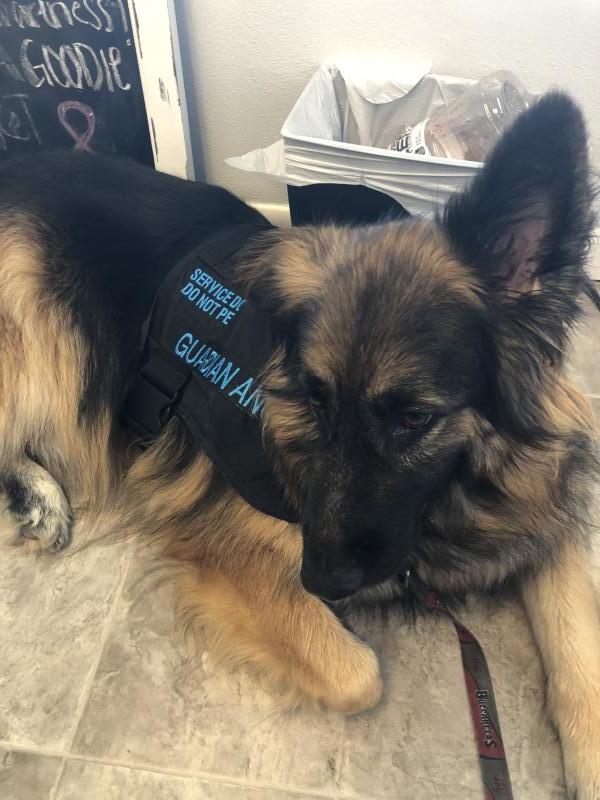 Guardian Angels Medical Service Dogs Inc Reviews and Ratings