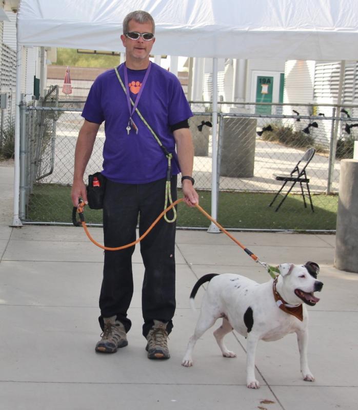 The Animal Foundation Reviews and Ratings | Las Vegas, NV | Donate