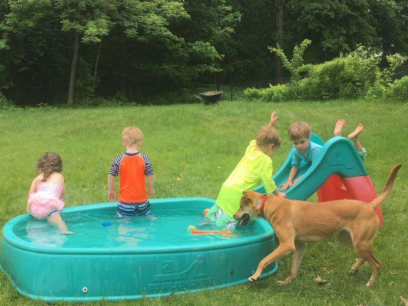 Second Chance Animal Services Inc FKA Second Chance Animal Shelter Inc