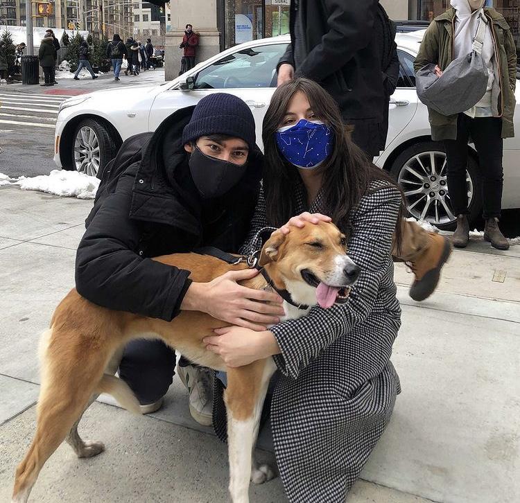 Muddy Paws Rescue Reviews and Ratings New York, NY Donate