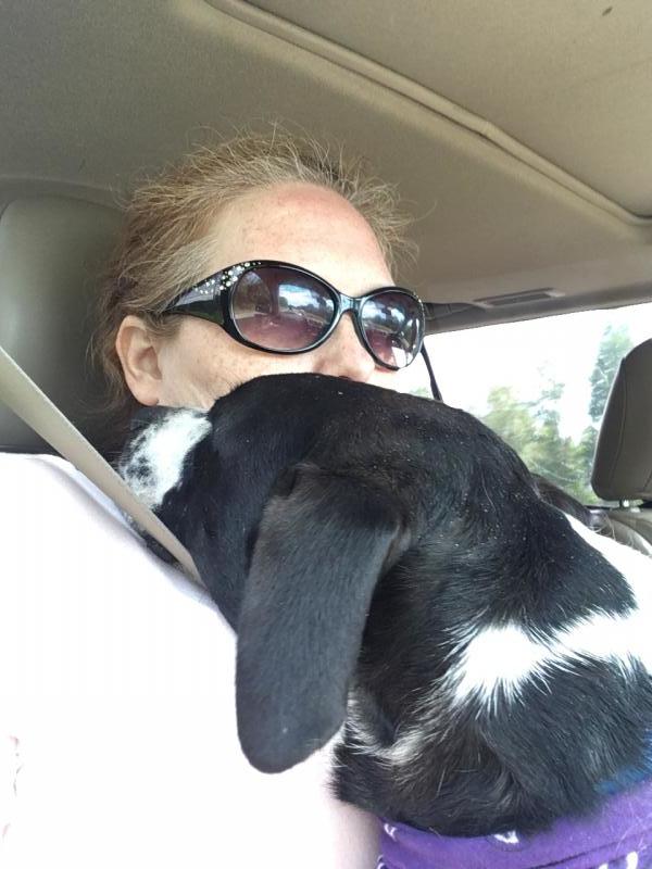 Second Chance Animal Services Inc FKA Second Chance Animal Shelter Inc