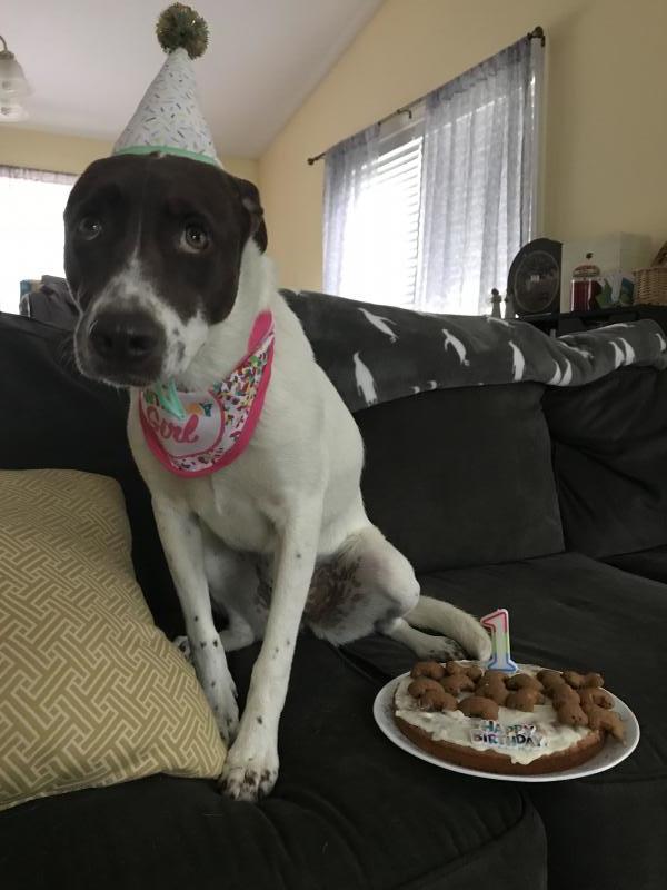 Second Chance Animal Services Inc FKA Second Chance Animal Shelter Inc