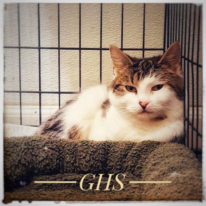 The Animal Rights Alliance Inc Reviews and Ratings