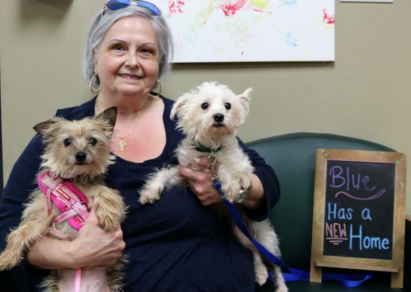 Humane Society of Hall County dba Humane Society of Northeast