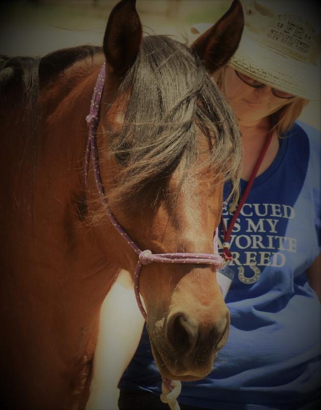 Colorado Horse Rescue Reviews and Ratings Longmont, CO Donate