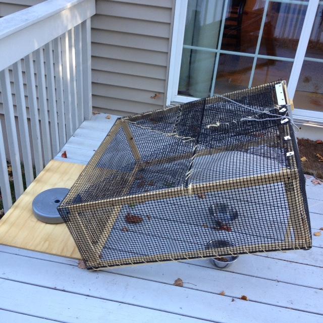 Nutmeg Spay/Neuter Clinic (FeralCare) Reviews and Ratings Stratford