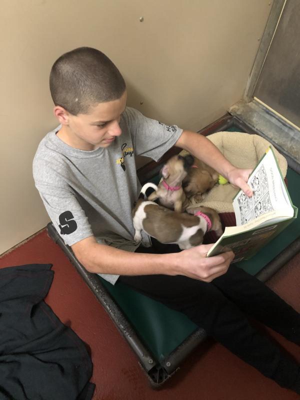 Humane Society of Hall County dba Humane Society of Northeast