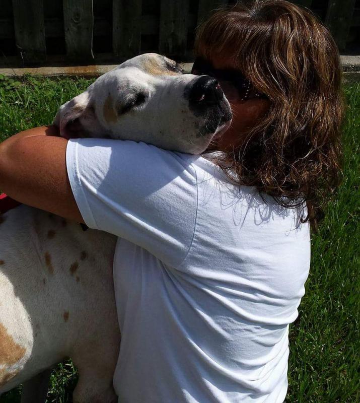 Big Dog Ranch Rescue Reviews and Ratings Loxahatchee Groves, FL