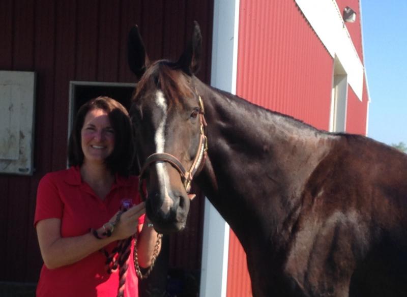Red Bucket Equine Rescue Reviews and Ratings Chino Hills, CA Donate