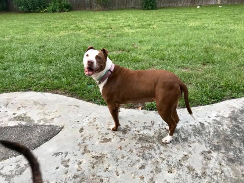 Pit Sisters Inc Reviews And Ratings Jacksonville Fl